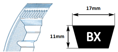 BX53 Cogged V Belt